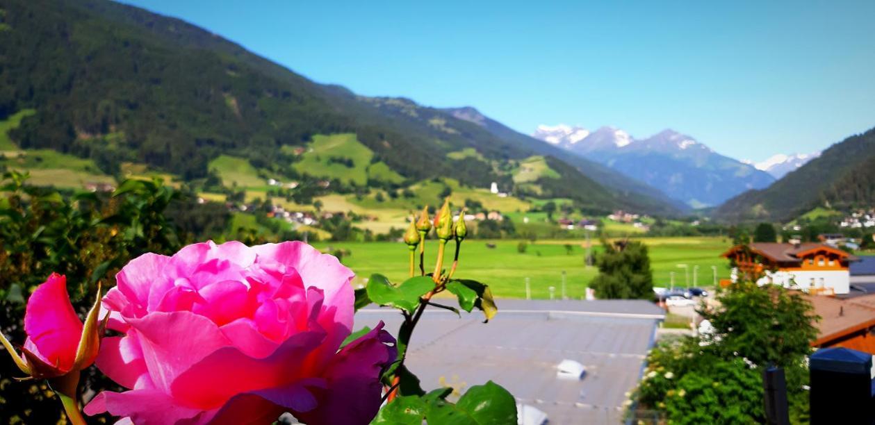 Haus Wibmer Matrei in Osttirol Extérieur photo