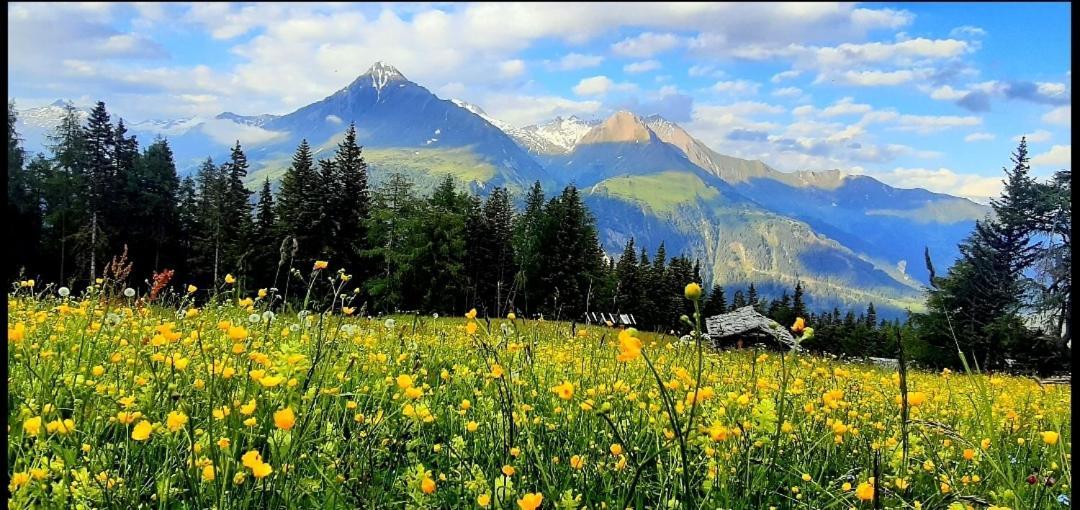 Haus Wibmer Matrei in Osttirol Extérieur photo